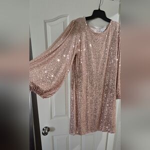 Ivy City Rose Gold Sequin Dress, size 1X